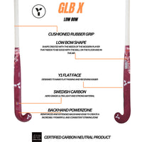 GLB X